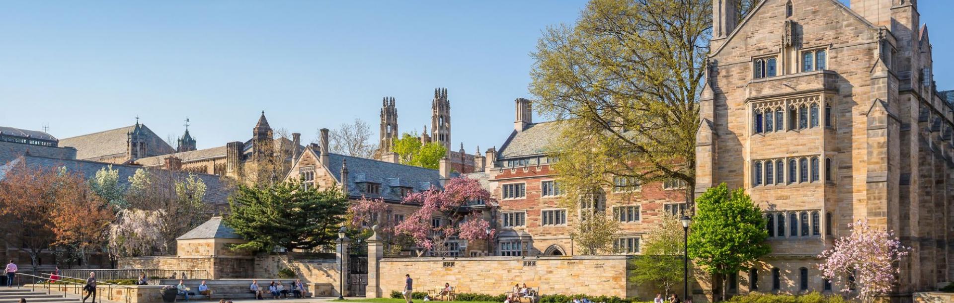 TAU Fox Fellow bridges Israeli and American academic worlds at Yale

