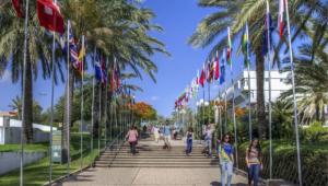 Tel Aviv University main entrance lined with flags