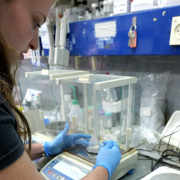Research in Resilience: TAU’s Summer That Almost Wasn’t