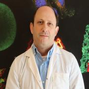 Prof. Noam Shomron